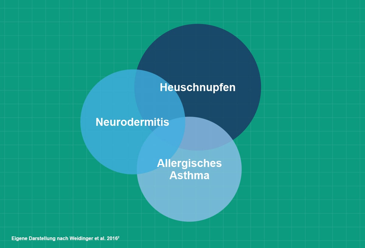 240216_Neurodermitis_Begleiterkrankungen.jpg